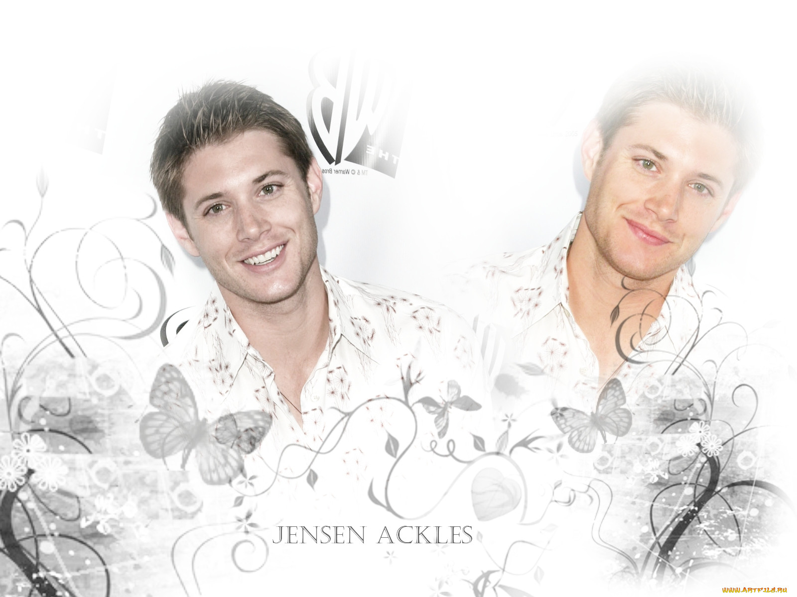 jensen, ackles, 